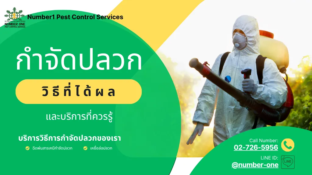 กำจัดปลวก