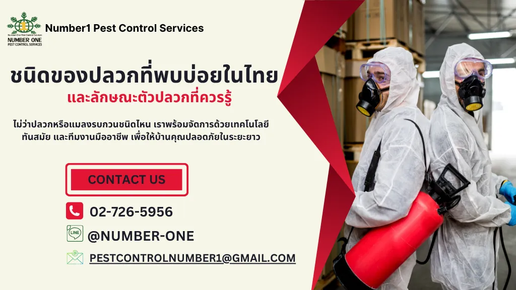 ตัวปลวก