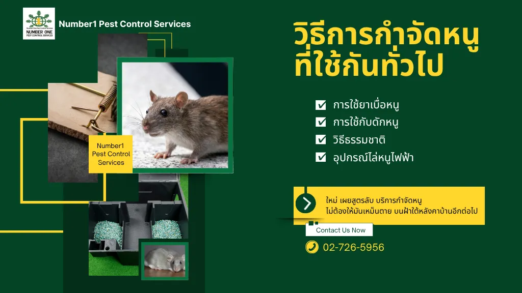 กำจัดหนู