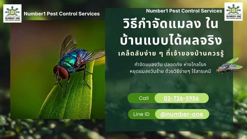 วิธีกำจัดแมลง