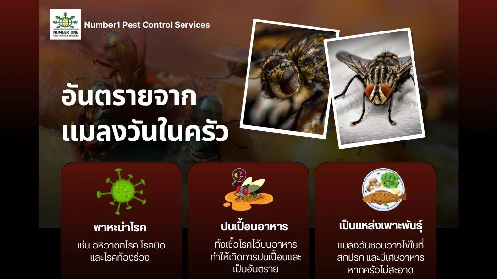 วิธีกำจัดแมลง